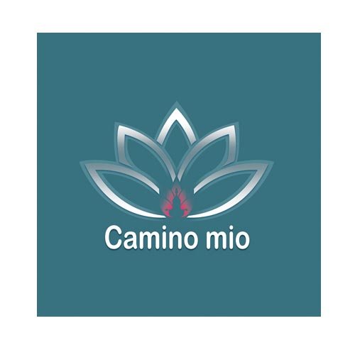 ref-logo-caminomio
